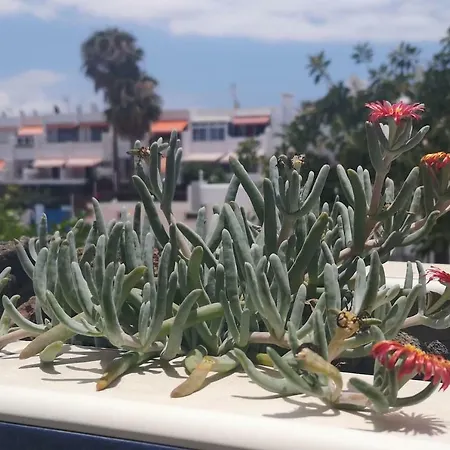 Casa vacanze Casa Maggiore Di 3 Lovely Costa Del Silencio