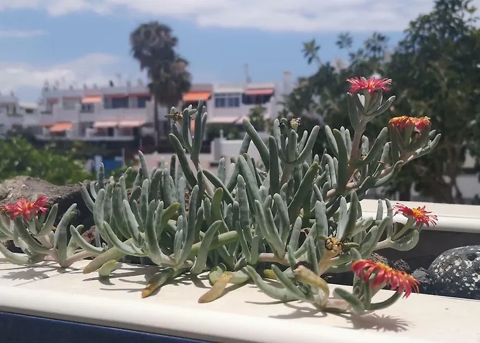 Casa de Férias Casa Maggiore Di 3 Lovely Costa Del Silencio